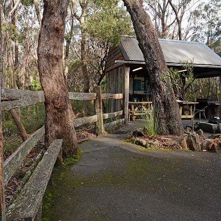 Jemby Rinjah Ecolodge Blackheath Eksteriør bilde