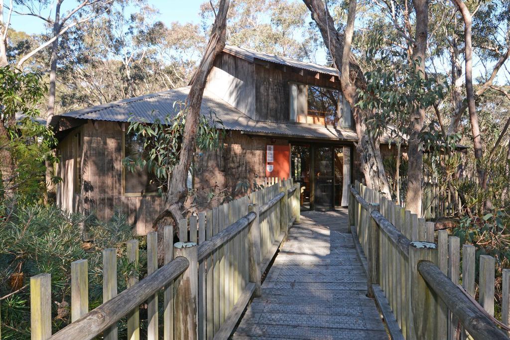 Jemby Rinjah Ecolodge Blackheath Rom bilde