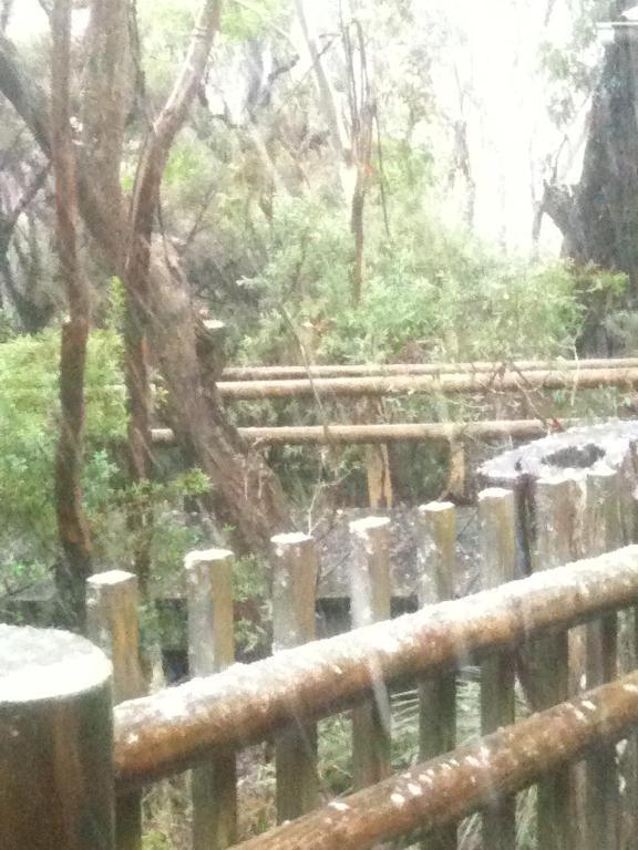 Jemby Rinjah Ecolodge Blackheath Eksteriør bilde